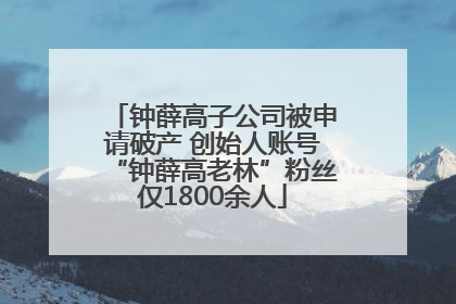 钟薛高子公司被申请破产 创始人账号“钟薛高老林”粉丝仅1800余人