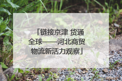 链接京津 货通全球——河北商贸物流新活力观察