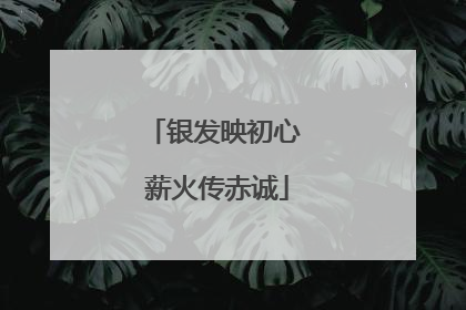 银发映初心 薪火传赤诚