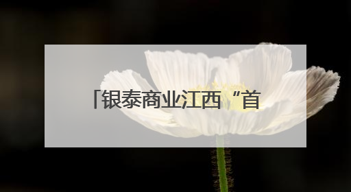 银泰商业江西“首秀”折戟 南昌百货二次元转型遇阻