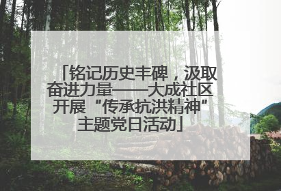铭记历史丰碑，汲取奋进力量——大成社区开展“传承抗洪精神”主题党日活动