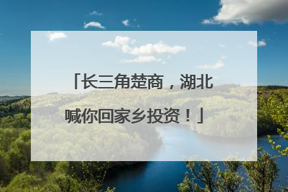 长三角楚商，湖北喊你回家乡投资！