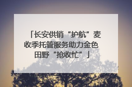 长安供销“护航”麦收季托管服务助力金色田野“抢收忙”