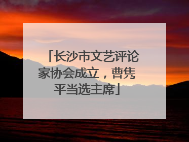 长沙市文艺评论家协会成立，曹隽平当选主席