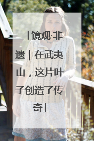 镜观·非遗｜在武夷山，这片叶子创造了传奇