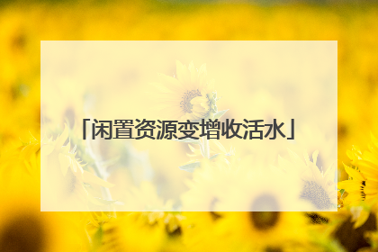 闲置资源变增收活水