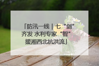 防汛一线｜七“剑”齐发 水利专家“智”援湘西北抗洪流