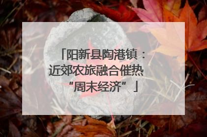 阳新县陶港镇：近郊农旅融合催热“周末经济”