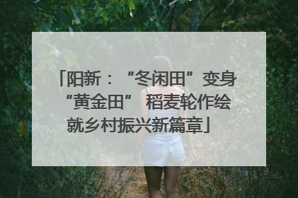 阳新：“冬闲田”变身“黄金田” 稻麦轮作绘就乡村振兴新篇章