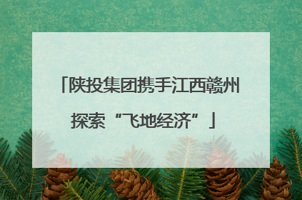 陕投集团携手江西赣州 探索“飞地经济”