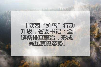 陕西“护鸟”行动升级，省委书记：全链条排查整治，形成高压震慑态势