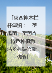 陕西神木栏杆堡镇：一垄瓜苗一垄药香 特色种植激活乡村振兴新动能