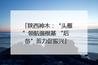 陕西神木：“头雁”领航强根基 “后备”蓄力促振兴