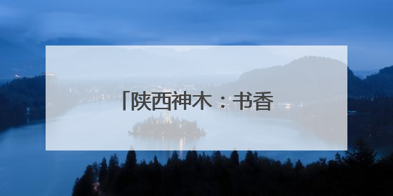 陕西神木：书香浸润城市肌理 阅读点亮美好生活