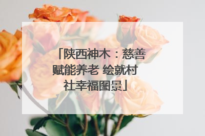 陕西神木：慈善赋能养老 绘就村社幸福图景