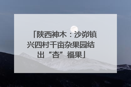 陕西神木：沙峁镇兴四村千亩杂果园结出“杏”福果