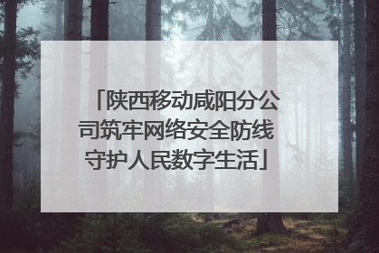 陕西移动咸阳分公司筑牢网络安全防线守护人民数字生活
