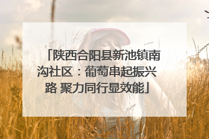 陕西合阳县新池镇南沟社区：葡萄串起振兴路 聚力同行显效能