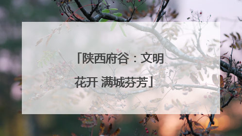 陕西府谷：文明花开 满城芬芳