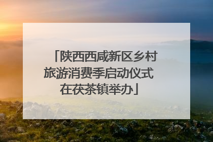 陕西西咸新区乡村旅游消费季启动仪式在茯茶镇举办