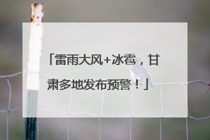 雷雨大风+冰雹，甘肃多地发布预警！