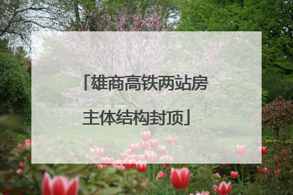 雄商高铁两站房主体结构封顶