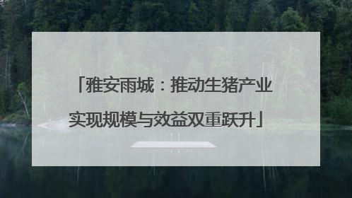 雅安雨城：推动生猪产业实现规模与效益双重跃升