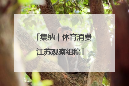 集纳｜体育消费江苏观察组稿