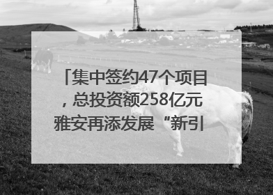 集中签约47个项目，总投资额258亿元 雅安再添发展“新引擎”｜数读西投
