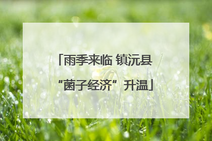 雨季来临 镇沅县“菌子经济”升温
