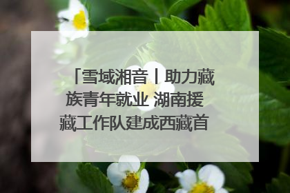 雪域湘音丨助力藏族青年就业 湖南援藏工作队建成西藏首个清洁能源装备园
