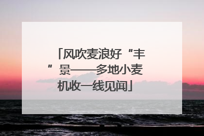 风吹麦浪好“丰”景——多地小麦机收一线见闻