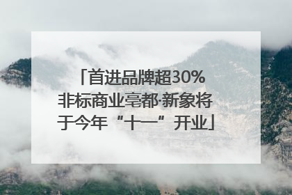 首进品牌超30% 非标商业亳都·新象将于今年“十一”开业