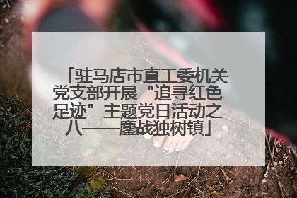 驻马店市直工委机关党支部开展“追寻红色足迹”主题党日活动之八——鏖战独树镇
