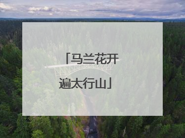 马兰花开遍太行山