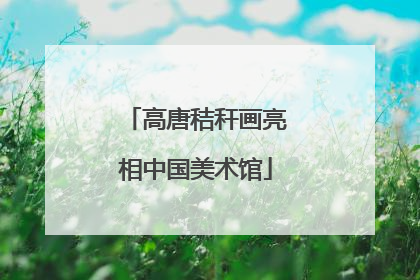 高唐秸秆画亮相中国美术馆