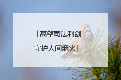 高擎司法利剑 守护人间烟火