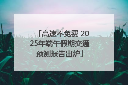 高速不免费 2025年端午假期交通预测报告出炉