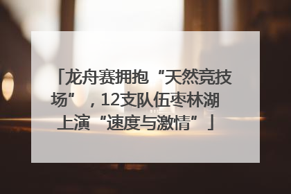 龙舟赛拥抱“天然竞技场”，12支队伍枣林湖上演“速度与激情”
