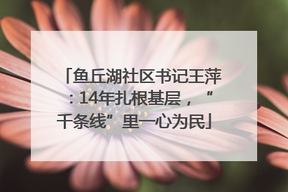 鱼丘湖社区书记王萍：14年扎根基层，“千条线”里一心为民