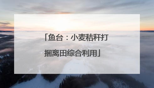 鱼台：小麦秸秆打捆离田综合利用