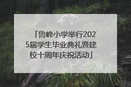 鲁峰小学举行2025届学生毕业典礼暨建校十周年庆祝活动