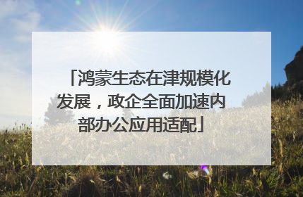 鸿蒙生态在津规模化发展，政企全面加速内部办公应用适配