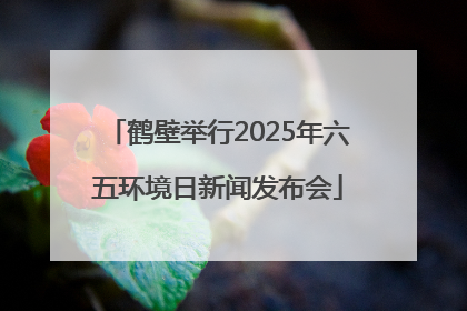 鹤壁举行2025年六五环境日新闻发布会