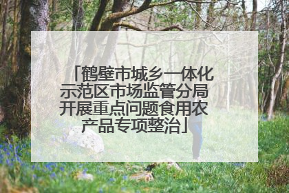 鹤壁市城乡一体化示范区市场监管分局开展重点问题食用农产品专项整治