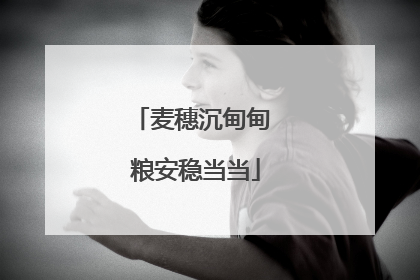 麦穗沉甸甸 粮安稳当当