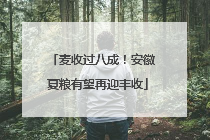 麦收过八成！安徽夏粮有望再迎丰收