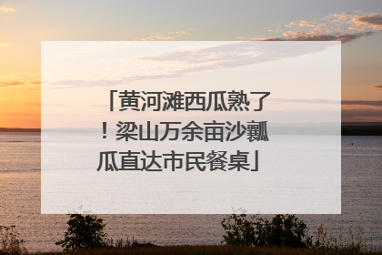 黄河滩西瓜熟了！梁山万余亩沙瓤瓜直达市民餐桌