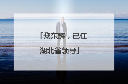 黎东辉，已任湖北省领导