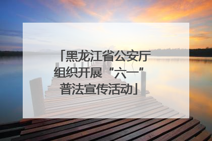 黑龙江省公安厅组织开展“六一”普法宣传活动